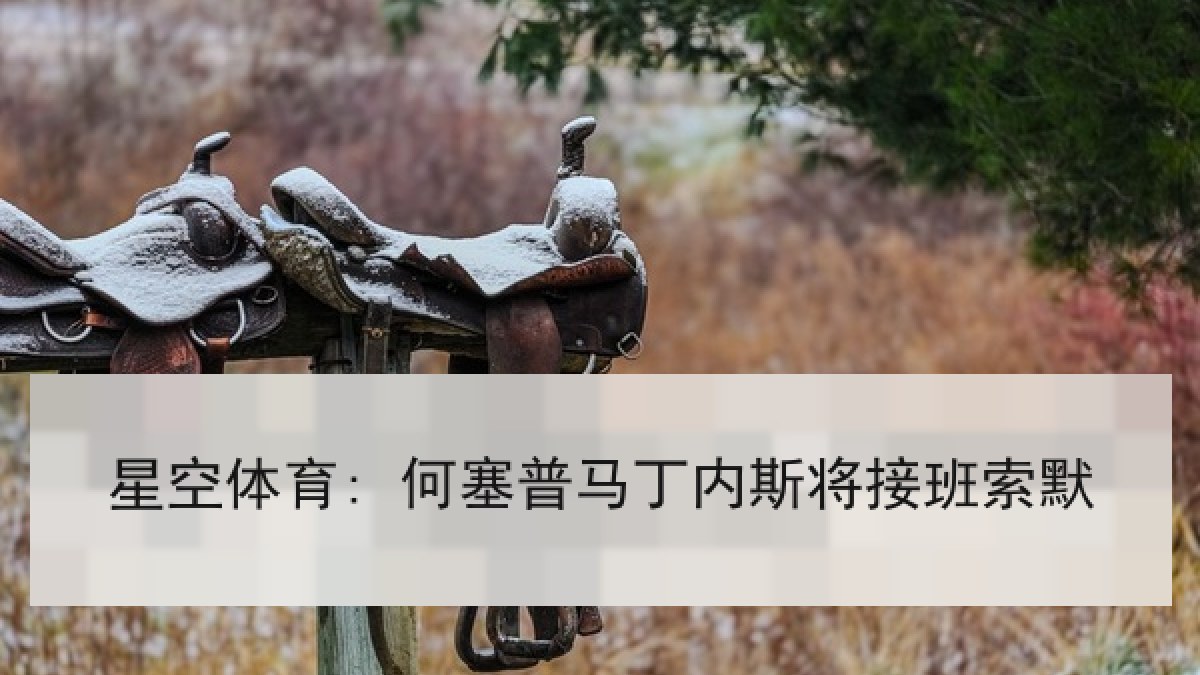 星空体育: 何塞普马丁内斯将接班索默 星空体育: 何塞普马丁内斯将接班索默
